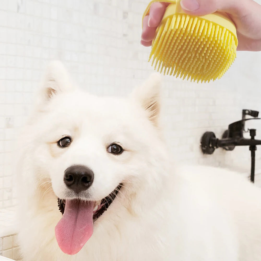 Brosse de Bain & Massage