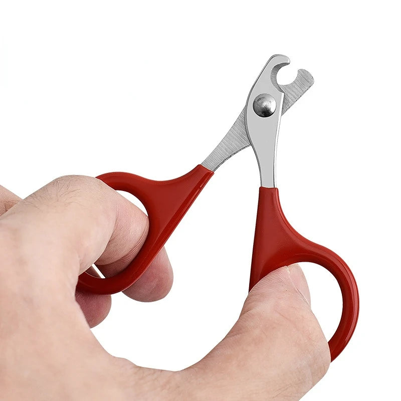 Coupe-Griffes Professionnel