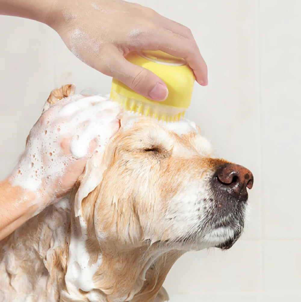 Brosse de Bain & Massage