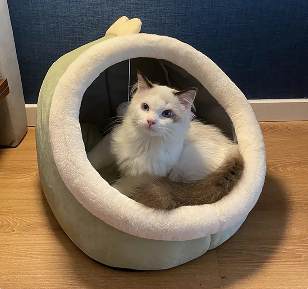 Panière pour Chats – Confort & Design Mignon