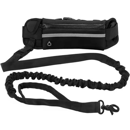 Laisse mains libres avec ceinture