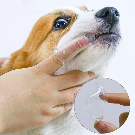 Brosse à Dents Douce pour Animaux